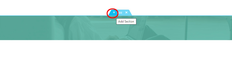 Add New Section