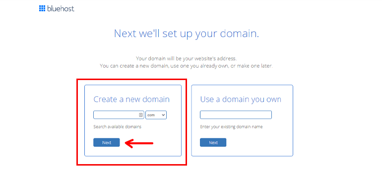 Domain Name Setup