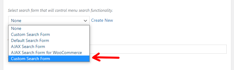 Select Custom Search Form