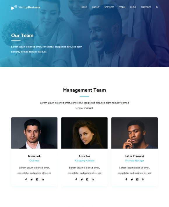 Team – Startup Business